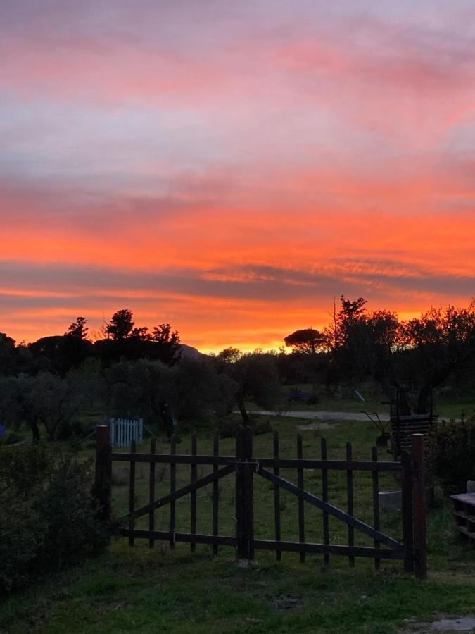 Agriturismo Is Conchisceddas Gonnosfanàdiga Екстериор снимка