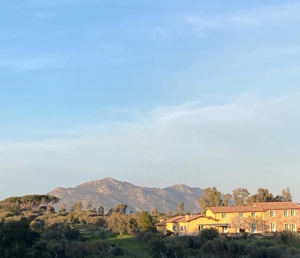 Agriturismo Is Conchisceddas Gonnosfanàdiga Екстериор снимка