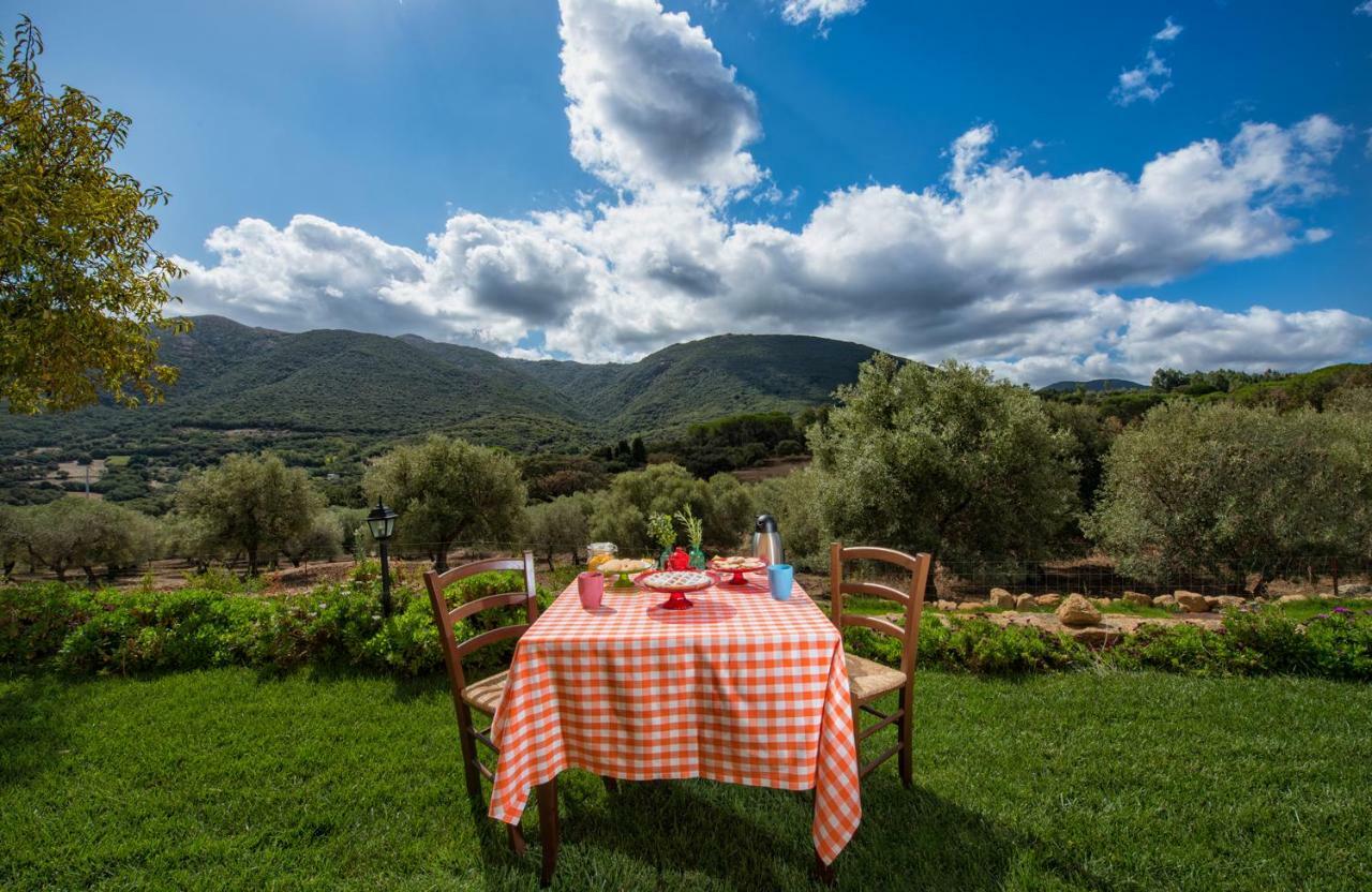 Agriturismo Is Conchisceddas Gonnosfanàdiga Екстериор снимка